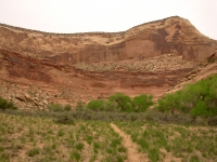 Trail in San Rafael